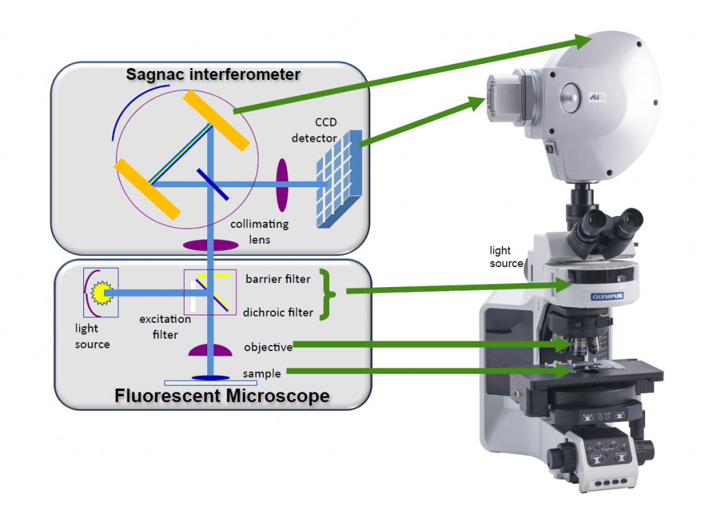  Schematic representation of SKY Detection.