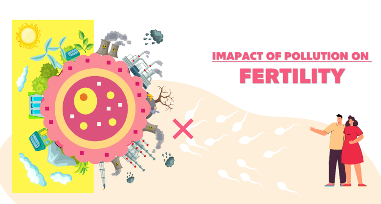 Impact Of Pollution On Fertility