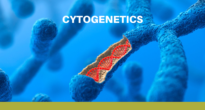 Cytogenetics