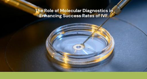 The Role of Molecular Diagnostics in Enhancing Success Rates of IVF