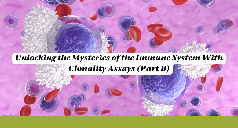 Unlocking the Mysteries of the Immune System With Clonality Assays